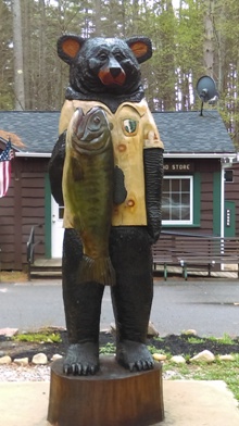 Bear Ranger at park campground